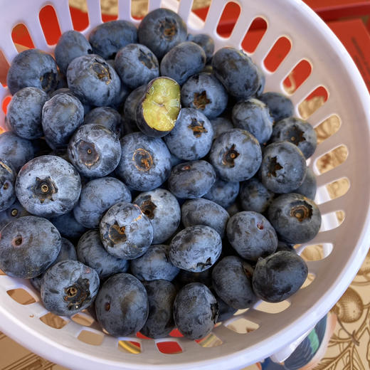 【活动款空运蓝莓】花香味十足，脆甜多汁，18➕大果果，护眼神器 商品图1
