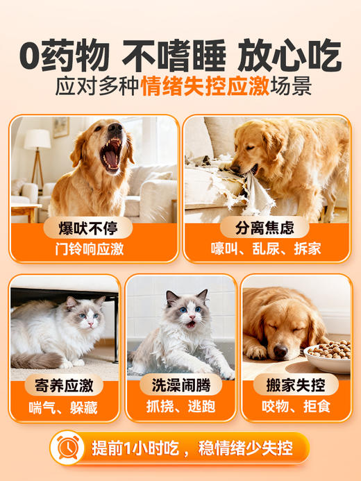 普安特猫咪狗狗多乐宁舒缓片宠物缓解应激安抚情绪外出减少焦虑 商品图3