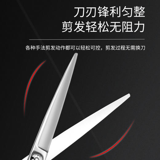 大雄斑马T100T200平剪牙剪刀发型师专用理发组合套装 商品图2