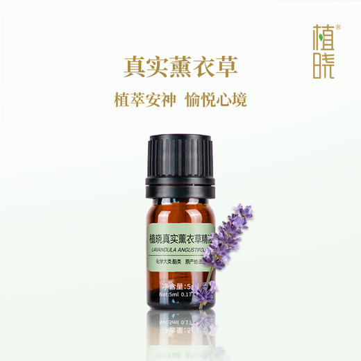 植晓 真实薰衣草精油 5ml 商品图0