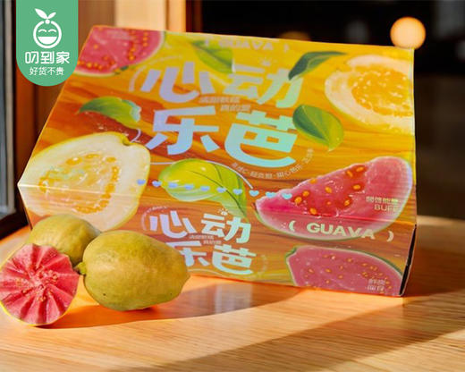 诏安盐碱地草莓芭乐/1箱（6-9个，共1.25kg±50g） 商品图6