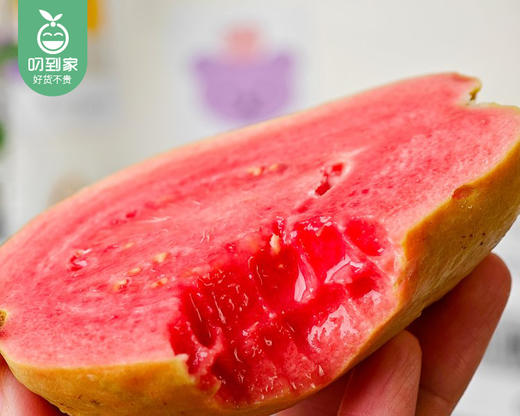 诏安盐碱地草莓芭乐/1箱（6-9个，共1.25kg±50g） 商品图2