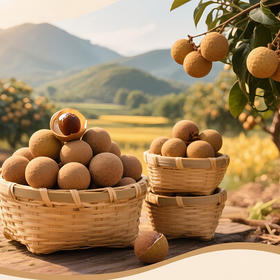 零时考拉桂圆干 三蒸三晒 肉厚甜润  500g/袋~