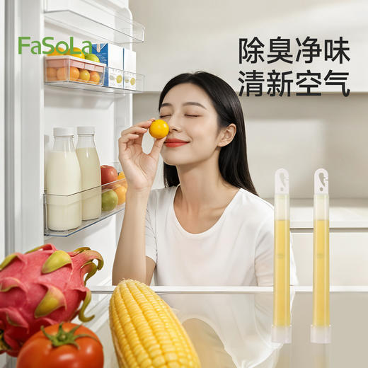 FaSoLa冰箱除味棒除臭杀菌去味净化清洁家用神器保鲜棒除味清洁剂 商品图5