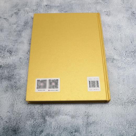 三丝而行:清代江南三织造文化展 商品图2