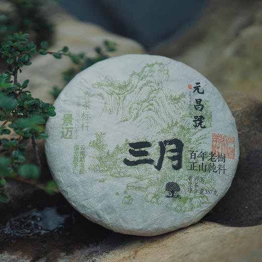 【元昌号】2026年三月系列头春大树景迈357g生饼 商品图1