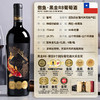 傲鱼智利原装原瓶进口红酒干红葡萄酒水果酒整箱 商品缩略图8