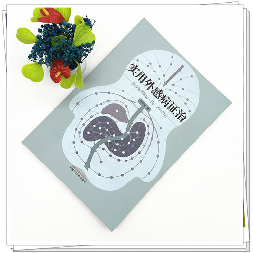 实用外感病证治 李永清 主编 中国中医药出版社 商品图1