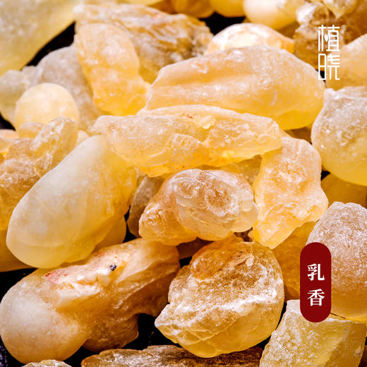 植晓 乳香精油 5ml 商品图1