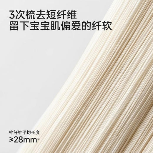 【100%精梳棉】英氏儿童裤子男童女童夏季薄款短裤休闲百搭纯棉PP裤2026新款 商品图4