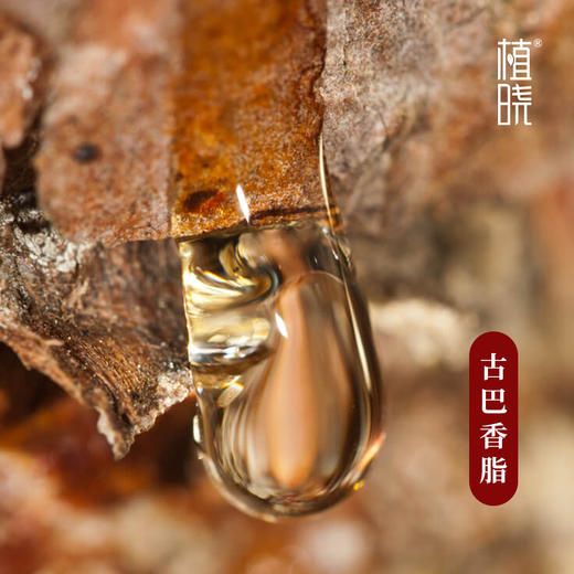 植晓 古巴香脂精油 5ml 商品图1