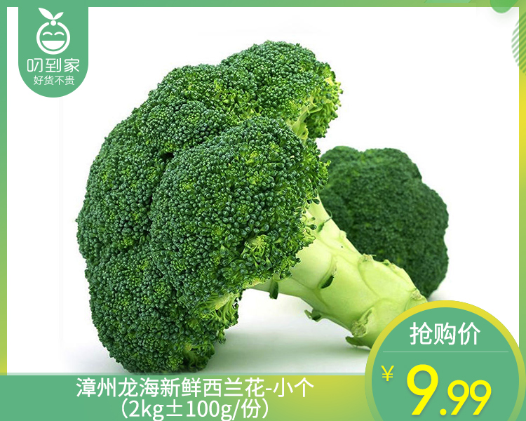 漳州龙海新鲜西兰花-小个（2kg±100g/份）