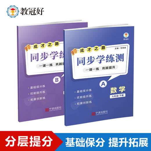 同步学练测 数学 八年级下册 成才之路 商品图0