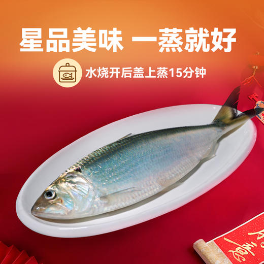 【液氮鲥鱼  限量特价】新孟河鲥鱼1-1.3斤/条 （含内脏 ）送调料包 顺丰速运 珍惜鱼种 商品图1