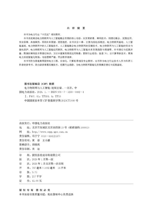 电力物联网与人工智能 商品图1