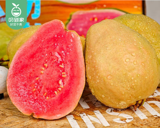 诏安盐碱地草莓芭乐/1箱（6-9个，共1.25kg±50g） 商品图1