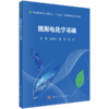 储能科学与工程专业“十四五”高等教育系列教材 商品缩略图4