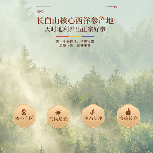 【福东海】西洋参250克（1.2-1.4cm）/瓶 花旗参 含片 人参 皂苷 可磨西洋参粉-MD 商品图5