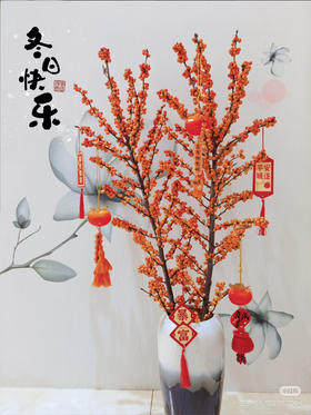 【心想柿橙】冬青 橙色 单枝 约1.3米