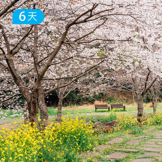 重磅新线丨偶来小径100KM  全球十大最受欢迎海岸徒步线 走进春天的韵脚里  6天 商品图1