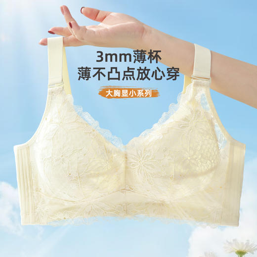 雅黛俪大胸显小显瘦女士内衣轻薄透气蕾丝春夏新款胸罩内衣 商品图2