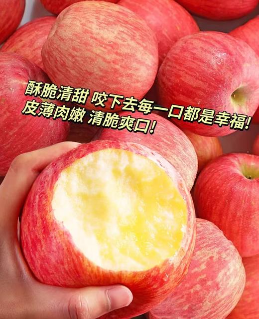 陕西洛川苹果 商品图5