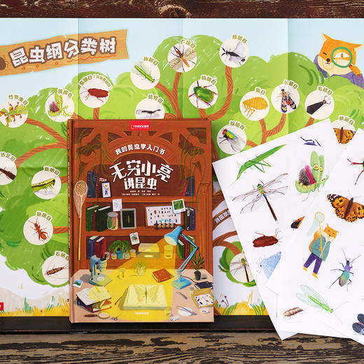 我的昆虫学入门书：无穷小亮讲昆虫，和无穷小亮一起玩懂昆虫，成为更有趣的人！昆虫插画科普 商品图1