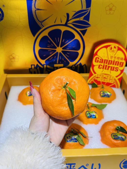 甘平礼盒装（8个特大果装） 商品图1