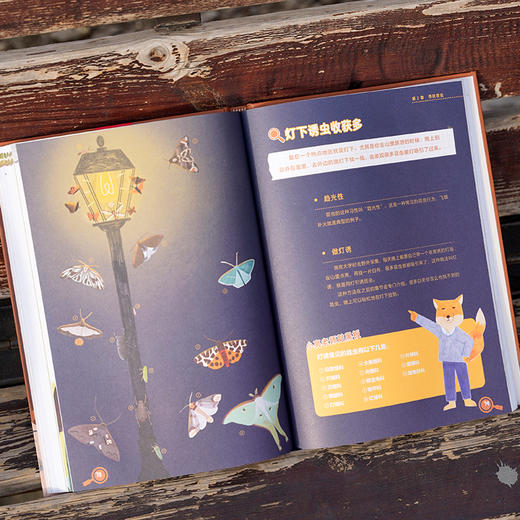 我的昆虫学入门书：无穷小亮讲昆虫，和无穷小亮一起玩懂昆虫，成为更有趣的人！昆虫插画科普 商品图5