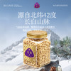 觅菓（miguo）当季新货东北长白山红松子仁大颗手剥松子仁健康炒货坚果零食400g /休闲食品 /坚果炒货 /松子 商品缩略图4