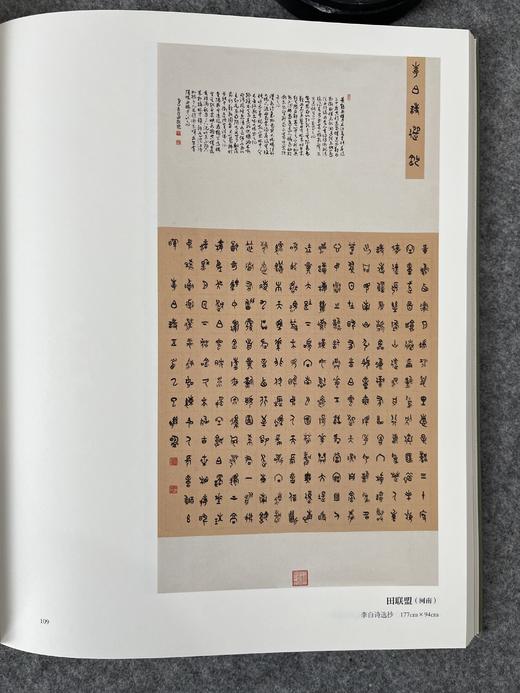 全国第四届篆书展作品集 中书协举办 书法出版社 商品图3