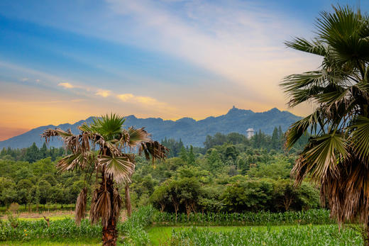 【觅趣622号院·都江堰】9房包院，温泉私汤，泳池，KTV，台球、钢琴，机麻，桌游，游戏机，机麻，投影仪，茶室，tkzc 商品图3