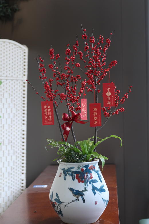 年宵花冬青 商品图0