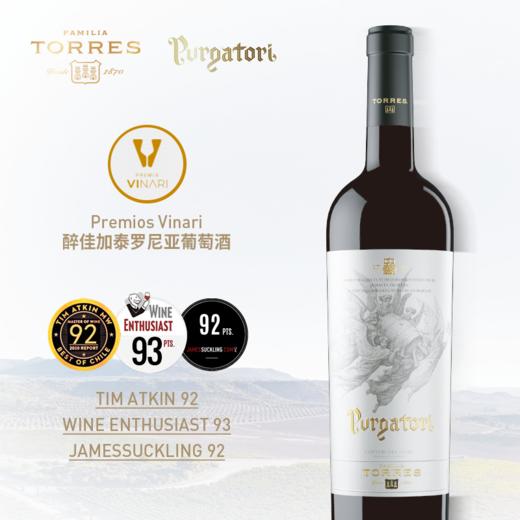 桃乐丝神曲红葡萄酒 Torres Purgatori 2017 750ml 商品图0