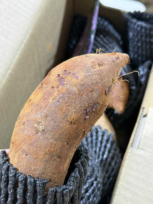 川山水晶紫薯 商品图5