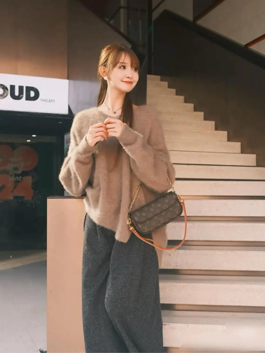 LV Ivy 老花  腋下包 商品图2