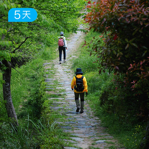 浙东唐诗之路｜隐逸轻徒32公里 登顶天姥山赏日落 国清寺 5日 商品图3
