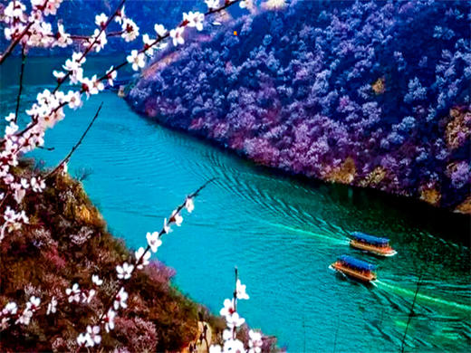 3.28第十一届【黄花城水长城国际徒步大会】暨第六届长城彩跑节 商品图7