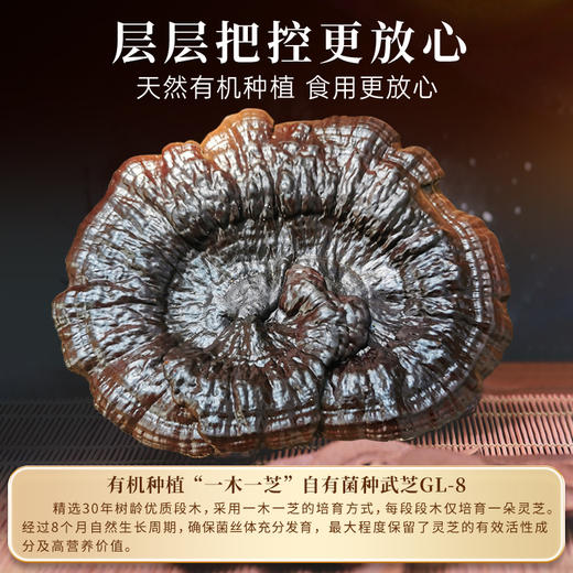 元生泰 紫灵芝茶 4g/袋*5袋/盒*4盒 紫灵芝 袋泡茶礼盒装 药食同源 泡茶煮茶养生茶 商品图4