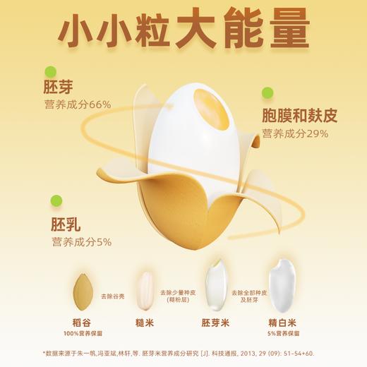 贝因美有机胚芽米宝宝营养辅食搭档 商品图2