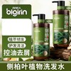 春节不打烊【植萃韧发❗️护发清洁】百力巨人草本植萃侧柏叶洗发水头发清洁控油蓬松控油洗发露。jd 商品缩略图0