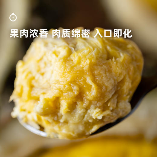 企鹅市集|马来西亚 黑刺榴莲 液氮冷冻整颗榴莲 浓郁香甜 商品图5