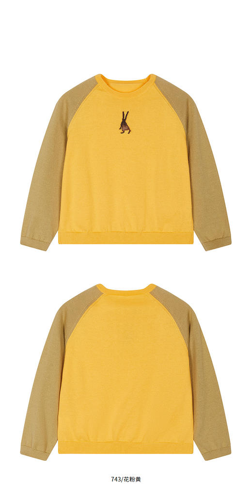 jnby   26年春款   长袖套头针织衫  1Q2313520 商品图9