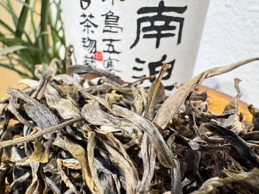 25春 冰岛五寨 集萃  古树纯料 商品图4