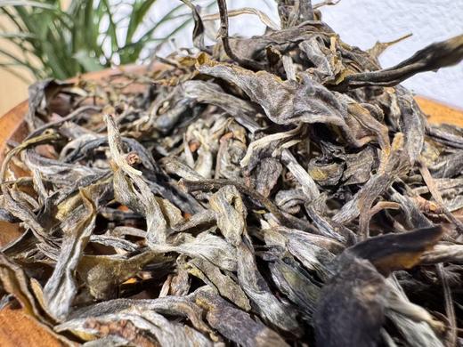 25春 冰岛五寨 集萃  古树纯料 商品图8