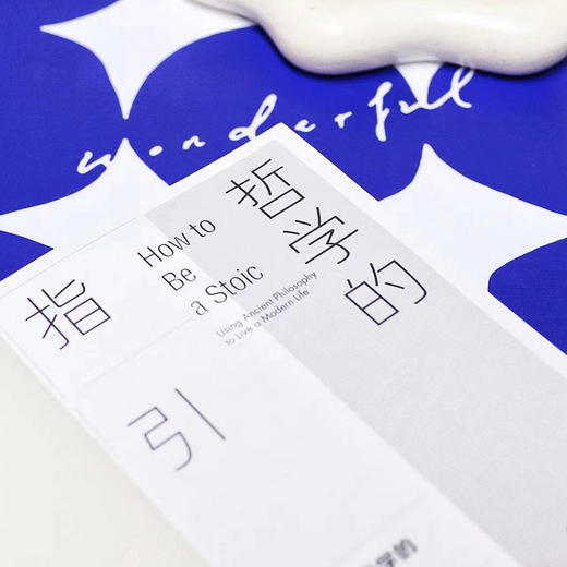 【樊登好书】哲学的指引 商品图5