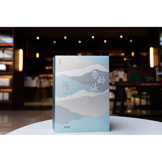 劳动法（第五版）  （日）荒木尚志著 仲琦译 林嘉审校   法律出版社 商品图1