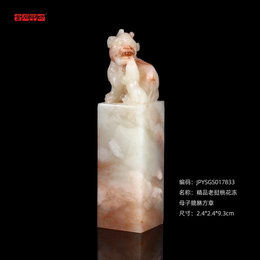 孤品17833精品老挝桃花冻母子貔貅方章礼品印章招财辟邪2.4*2.4*9.3cm 商品图0