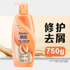 飘柔人参修护去屑洗发水男士女士洗发露液洗头膏750g修护损伤柔顺 商品缩略图1