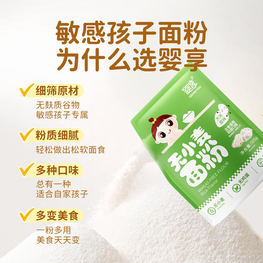 婴享主食面粉无小麦无麸质低筋口感饺子粉送婴幼儿敏宝辅食电子食谱 商品图1